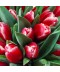 vaza lalele rosii livrare