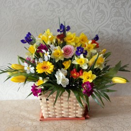 Cos de primavara colorat cu frezii, lalele, irisi si narcise