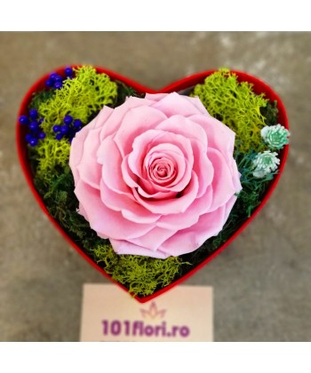 Trandafir roz criogenat in cutie cadou pentru ea