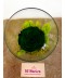 Trandafir criogenat verde in cupa de sticla