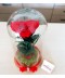 Trandafir criogent rosu inima in cupola mare
