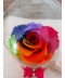 Trandafir criogenat rainbow in cupola cadou superb