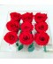 9 trandafiri criogenati rosii in cutie transparenta