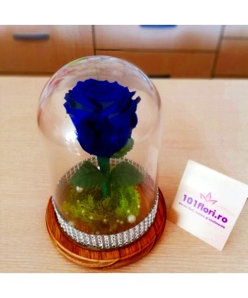 Cupola trandafir criogenat albastru cadou
