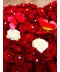 Inima trandafiri rosii livrare la domiciliu 