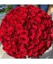 Buchet 101 trandafiri rosii Bucuresti, livrare 101 trandafiri