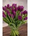 Buchet lalele mov livrare la domiciliu