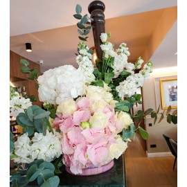 Aranjament cutie Maria, livrare hortensii si lisianthus