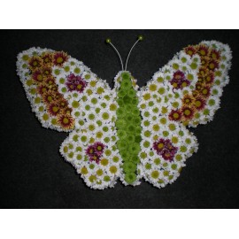 Aranjament in forma de fluture din crizanteme